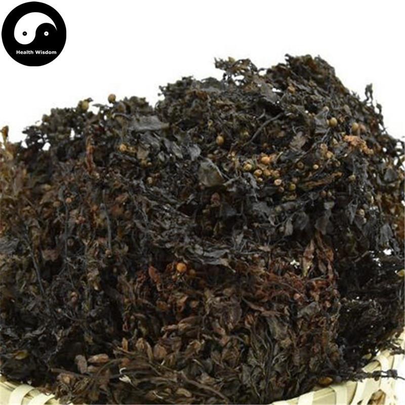 Hai Zao 海藻, Sargassum, Seaweed, Herba Sargassii-Health Wisdom™