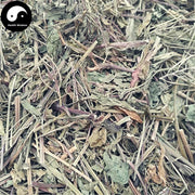 Han Cai 蔊菜, Herba Rorippae, Rorippa Indica Herb, Jiang Jian Dao Cao-Health Wisdom™
