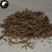 Han Xiu Cao 含羞草, Mimosa Pudica Leaf, Herba Mimosa-Health Wisdom™