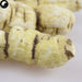 He Shou Wu 何首烏, White Polygonum Multiflorum, Tuber Fleeceflower Root-Health Wisdom™