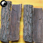 He Tao Qiu Pi 核桃楸皮, Cortex Juglandis Mandshuricae, Manchurian Walnut Bark-Health Wisdom™