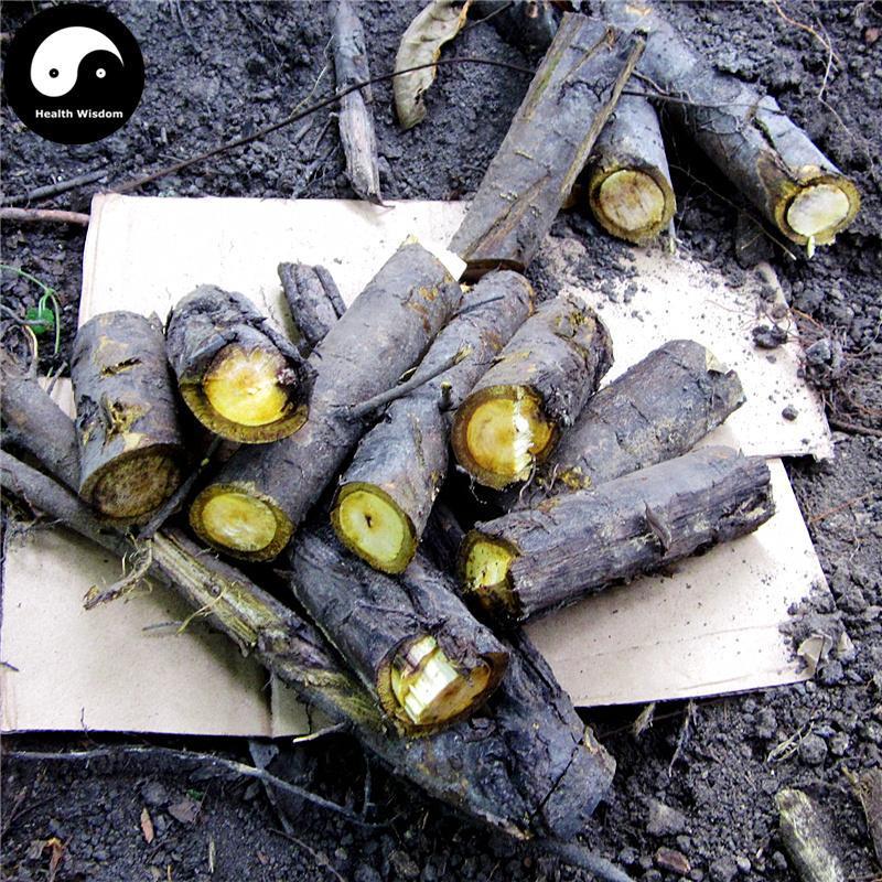 He Tao Qiu Pi 核桃楸皮, Cortex Juglandis Mandshuricae, Manchurian Walnut Bark-Health Wisdom™