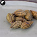 He Zi 訶子, Fructus Chebulae, Herbal Terminalia Fruit