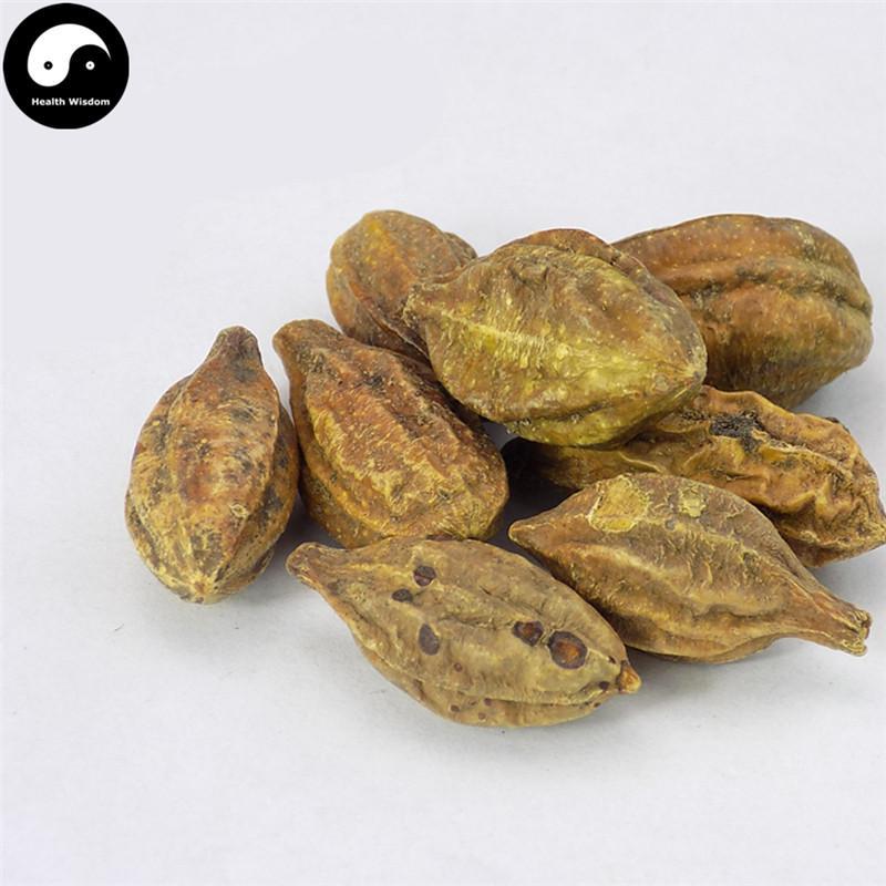 He Zi 訶子, Fructus Chebulae, Medicine Terminalia Fruit-Health Wisdom™