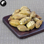 He Zi 訶子, Fructus Chebulae, Medicine Terminalia Fruit-Health Wisdom™