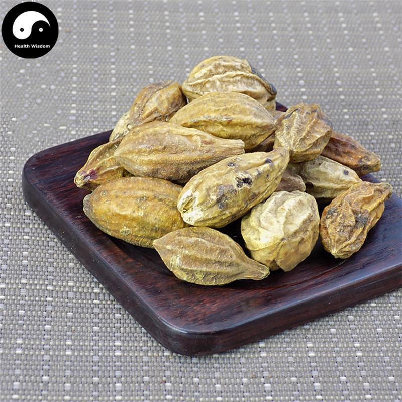 He Zi 訶子, Fructus Chebulae, Medicine Terminalia Fruit-Health Wisdom™