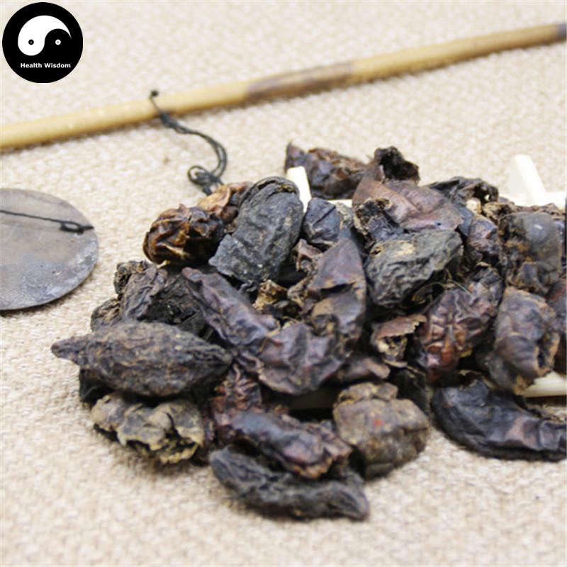 He Zi Rou 訶子肉, Fructus Chebulae, Medicine Terminalia Fruit Meat-Health Wisdom™