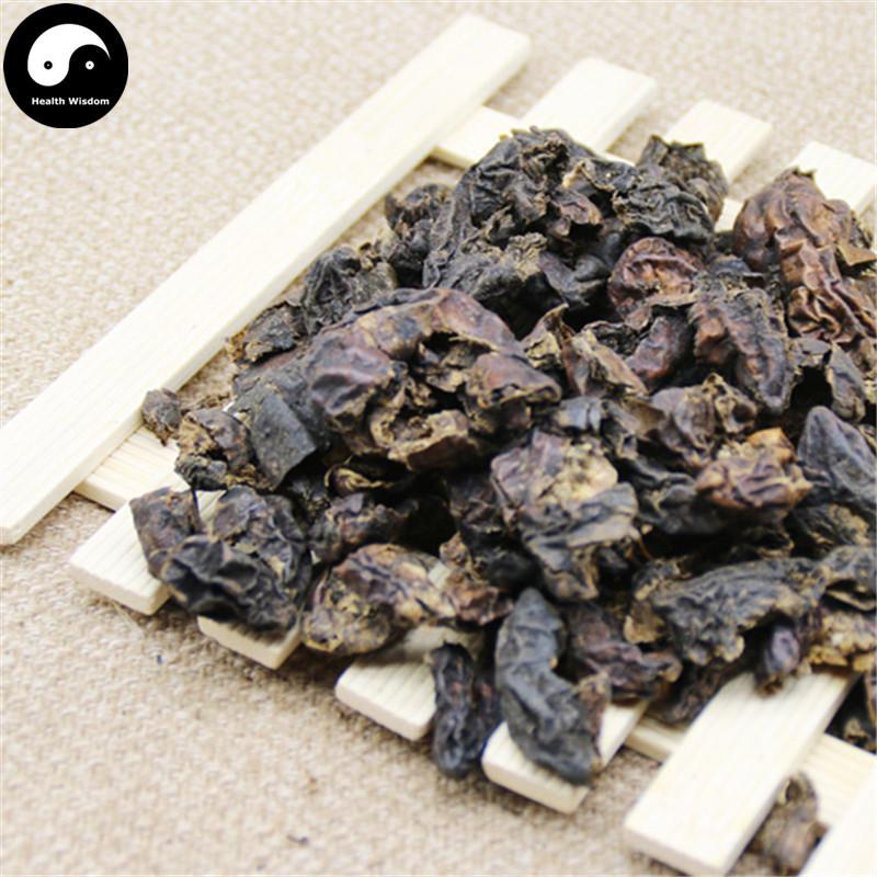 He Zi Rou 訶子肉, Fructus Chebulae, Medicine Terminalia Fruit Meat-Health Wisdom™