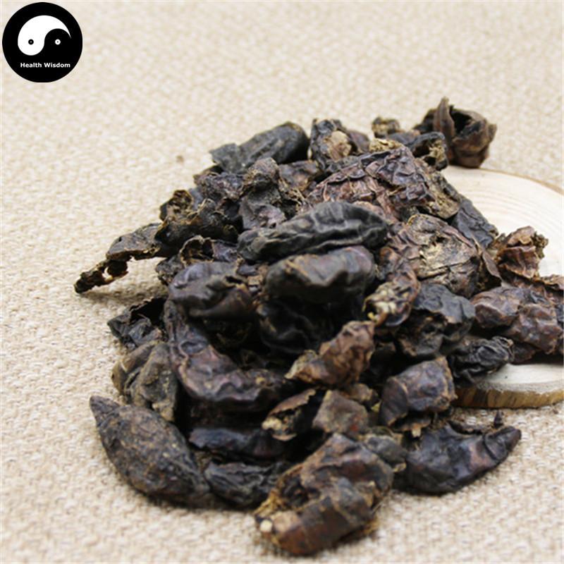 He Zi Rou 訶子肉, Fructus Chebulae, Medicine Terminalia Fruit Meat-Health Wisdom™