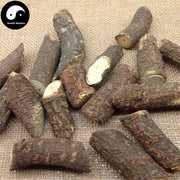Hei Gu Tou 黑骨头, Forrest Silkvine Root, Radix Periplocae Forrestii-Health Wisdom™
