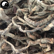 Hei Lao Hu Gen 黑老虎根, Radix Kadsurae Coccineae, Scarlet Kadsura Root-Health Wisdom™