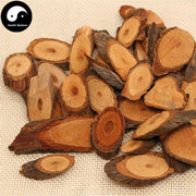 Hei Lao Hu Gen 黑老虎根, Radix Kadsurae Coccineae, Scarlet Kadsura Root-Health Wisdom™