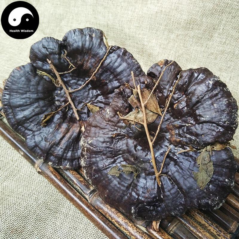 Hei Ling Zhi 黑灵芝, Dried Reishi Mushroom Tea, Ganoderma Lucidum, Wild Black Lingzhi-Health Wisdom™