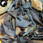Hei Mian Ye 黑面葉, Hei Mian Shen, Fruticose Breyniae Leaf and Twig, Folium Et Cacumen Breyniae Fruticosae-Health Wisdom™