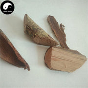 Heng Jing Xi 横经席, Calophyllum Membranaceum Root, Radix Calophyllum-Health Wisdom™