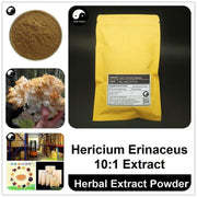 Hericium Erinaceus Extract Powder, Lion's Mane Mushroom P.E. 10:1, Yamabushitake, Hou Tou Gu-Health Wisdom™