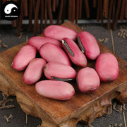 Hong Dao Dou Zi 红刀豆子, Sword Jackbean Seed, Red Semen Canavaliae-Health Wisdom™