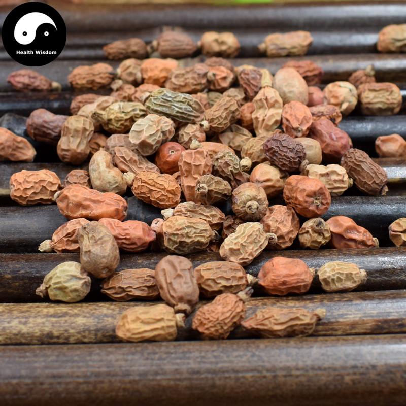 Hong Dou Kou 紅豆蔻, Fructus Galangae, Galanga Seed-Health Wisdom™