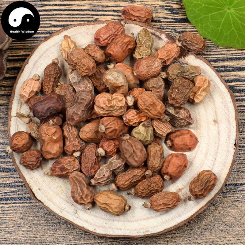 Hong Dou Kou 紅豆蔻, Fructus Galangae, Galanga Seed-Health Wisdom™