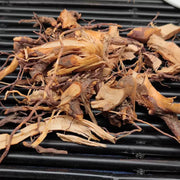 Hong Dou Shan Gen 红豆杉根, Taxus Chinensis Roots Tea, Ci Bai Song, Taxus Wallichiana Root-Health Wisdom™