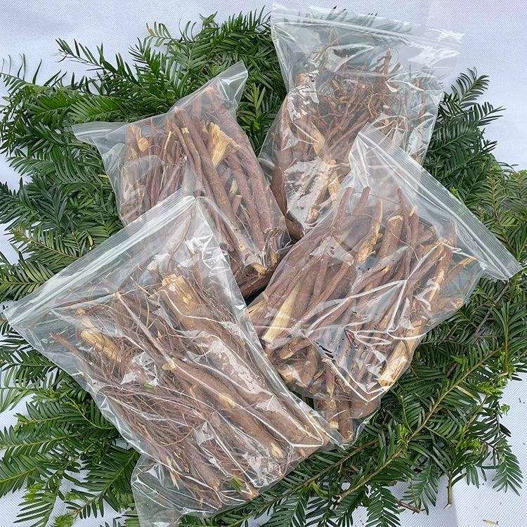 Hong Dou Shan Gen 红豆杉根, Taxus Chinensis Roots Tea, Ci Bai Song, Taxus Wallichiana Root-Health Wisdom™