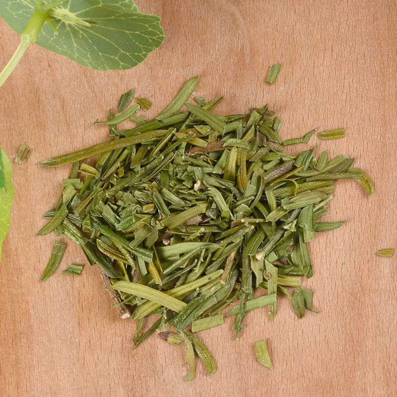 Hong Dou Shan Ye 红豆杉叶, Taxus Chinensis Leaf, Ci Bai Song Leaves Tea, Taxus Wallichiana-Health Wisdom™