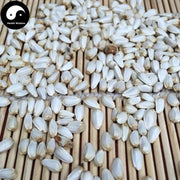 Hong Hua Zi 紅花子, Carthamus Seed, Bai Ping Zi-Health Wisdom™