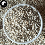 Hong Hua Zi 紅花子, Carthamus Seed, Bai Ping Zi-Health Wisdom™
