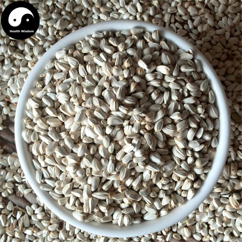 Hong Hua Zi 紅花子, Carthamus Seed, Bai Ping Zi-Health Wisdom™