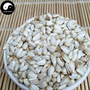 Hong Hua Zi 紅花子, Carthamus Seed, Bai Ping Zi-Health Wisdom™