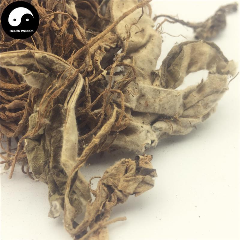 Hong Lian 洪連, Herba Lagotis Clarkei, Zang Huang Lian, Tu Er Cao-Health Wisdom™