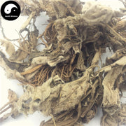 Hong Lian 洪連, Herba Lagotis Clarkei, Zang Huang Lian, Tu Er Cao-Health Wisdom™