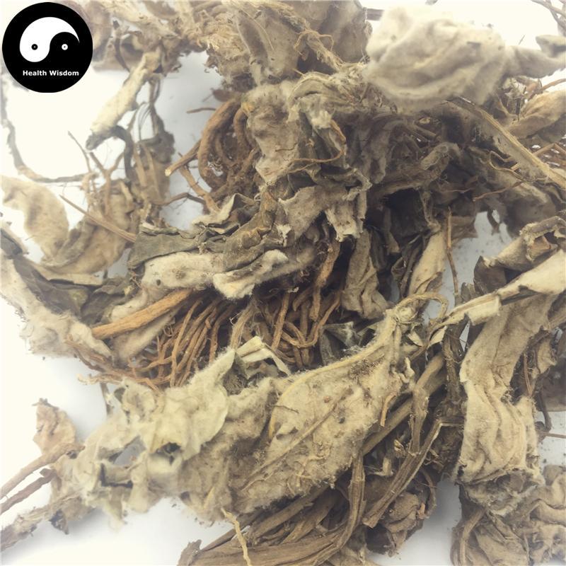 Hong Lian 洪連, Herba Lagotis Clarkei, Zang Huang Lian, Tu Er Cao-Health Wisdom™