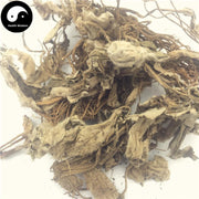 Hong Lian 洪連, Herba Lagotis Clarkei, Zang Huang Lian, Tu Er Cao-Health Wisdom™