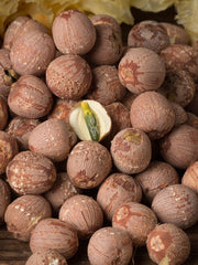 Hong Lian Zi 红蓮子, Semen Nelumbinis, Red Lotus Seeds-Health Wisdom™