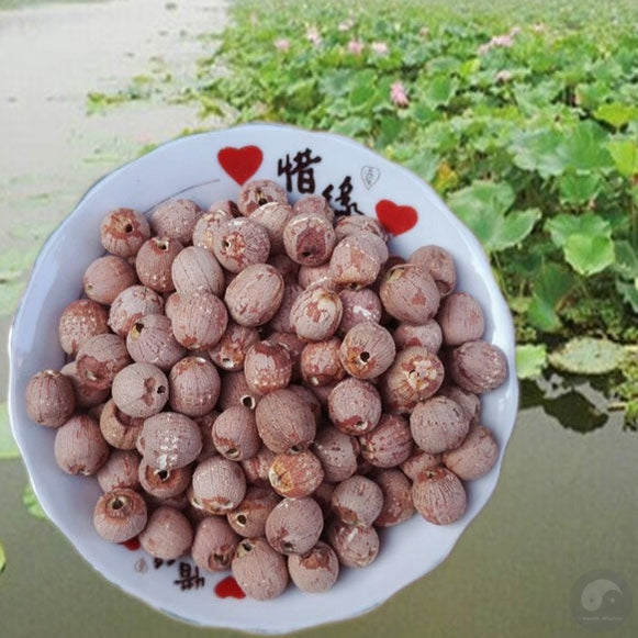 Hong Lian Zi 红蓮子, Semen Nelumbinis, Red Lotus Seeds-Health Wisdom™
