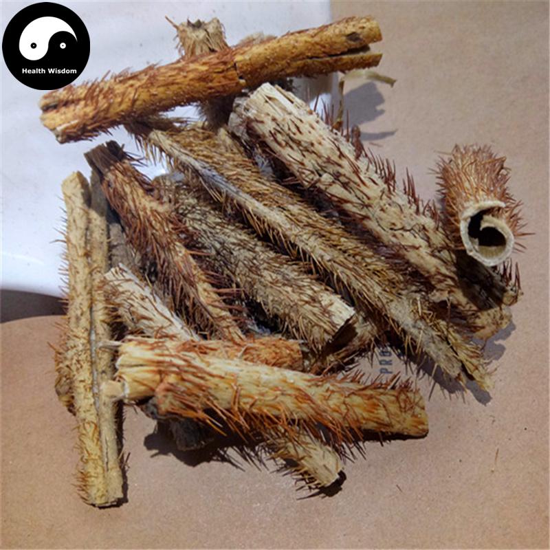 Hong Mao Wu Jia Pi 红毛五加皮, Cortex Acanthopanax Giraldii Harms, Acanthopanax Bark-Health Wisdom™
