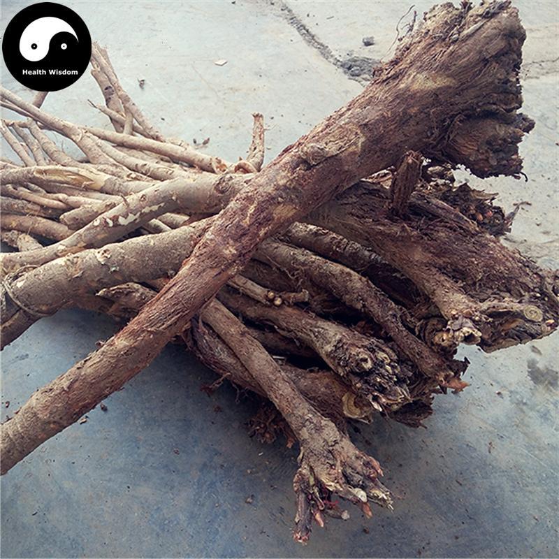Hong Qi 紅芪, Radix Hedysari, Hedysarum Polybotrys Root-Health Wisdom™