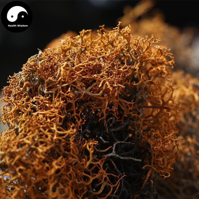Hong Xue Cha 红雪茶, Tibet Tea Lethariella Cladonioides, Snow Moutain Jin Si Cha 金丝茶, Golden Silks Tea-Health Wisdom™