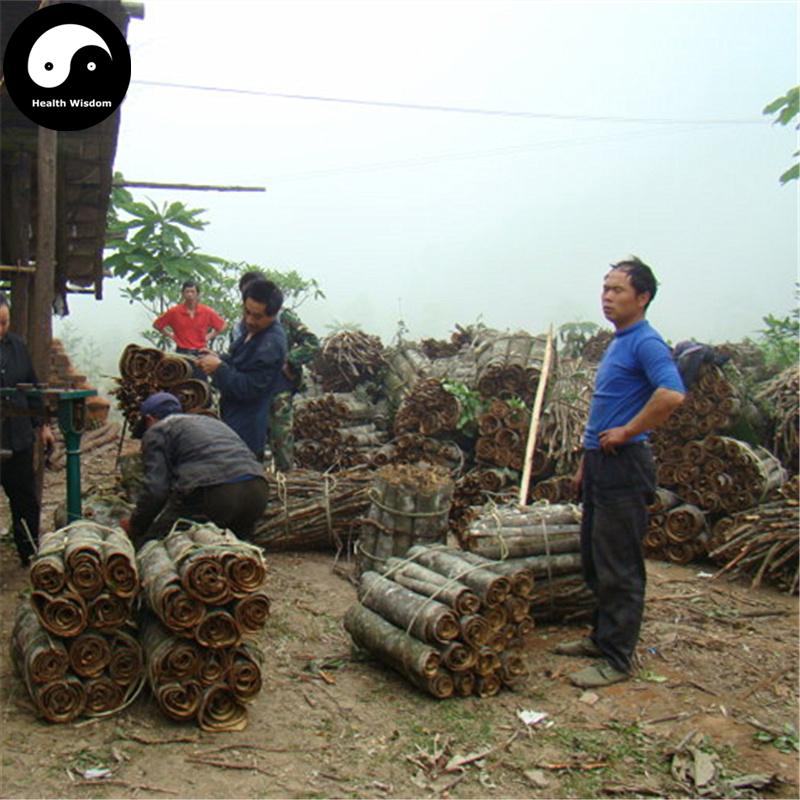 Hou Po 厚樸, Cortex Magnoliae Officinalis, Officinal Magnolia Bark, Chuan Hou Pu-Health Wisdom™