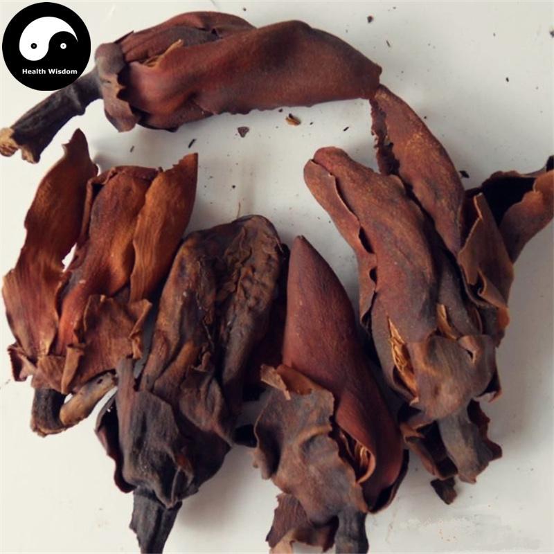 Hou Pu Hua 厚樸花, Official Magnolia Flower, Flos Houpoea Officinalis, Tiao Geng Hua-Health Wisdom™