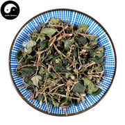 Hu Ci 虎刺, Damnacanthus Indicus Gaertn, Fu Niu Hua-Health Wisdom™