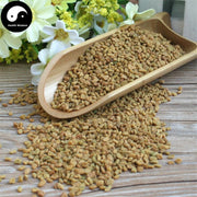 Hu Lu Ba 葫蘆巴, Common Fenugreek Seed, Semen Trigonellae, Lu Ba Zi-Health Wisdom™