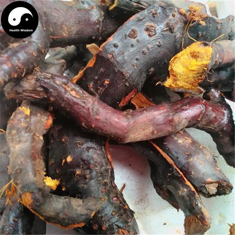 Hu Zhang 虎杖, Rhizoma Polygoni Cuspidati, Giant Knotweed Rhizome-Health Wisdom™