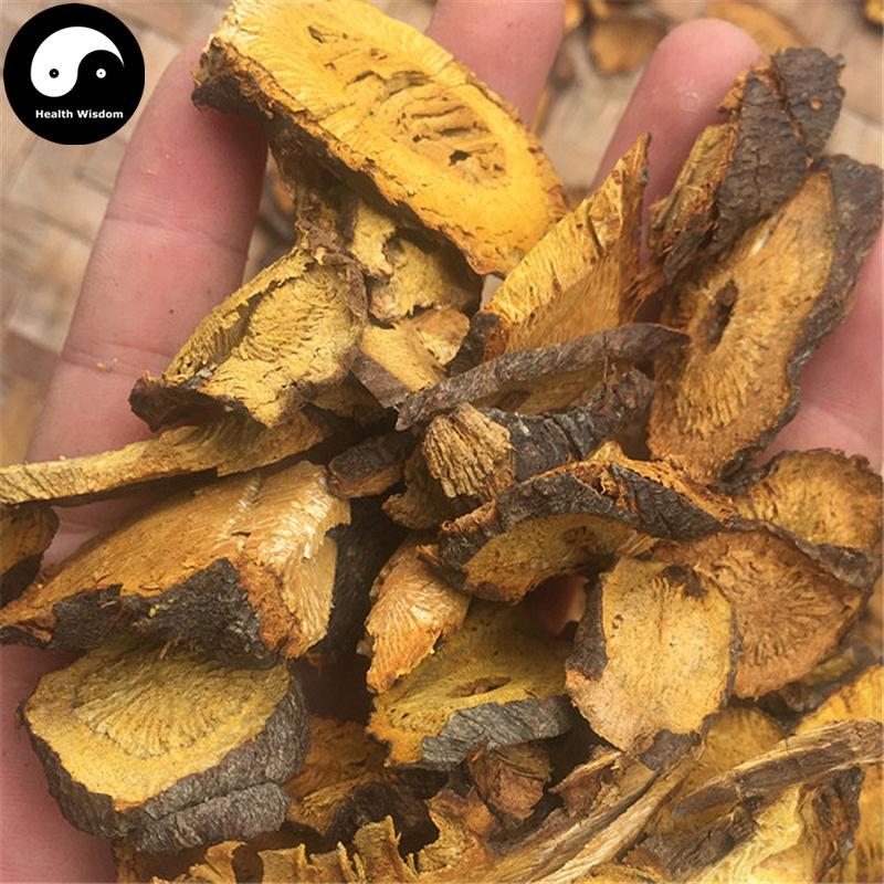 Hu Zhang 虎杖, Rhizoma Polygoni Cuspidati, Giant Knotweed Rhizome-Health Wisdom™