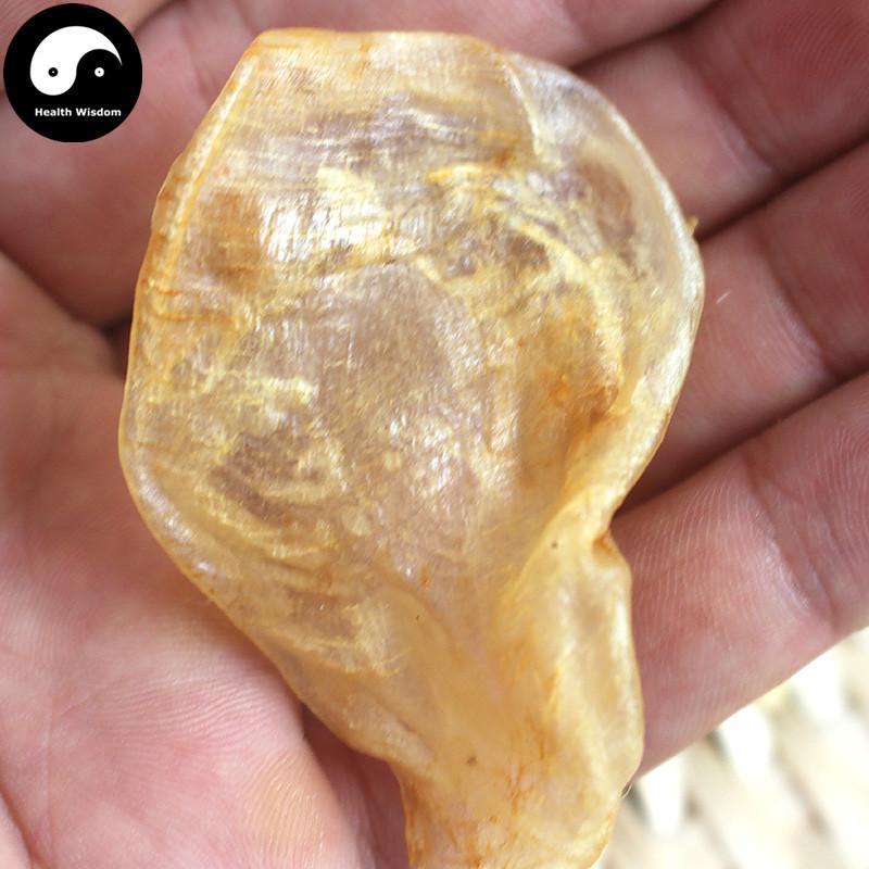 Hua Jiao 花胶, Yu Jiao, Fish Maw, Air Bladder, 魚肚, 魚鰾-Health Wisdom™