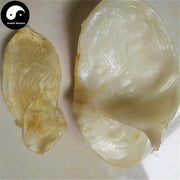 Hua Jiao 花胶, Yu Jiao, Fish Maw, Air Bladder, 魚肚, 魚鰾-Health Wisdom™
