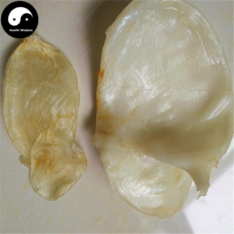 Hua Jiao 花胶, Yu Jiao, Fish Maw, Air Bladder, 魚肚, 魚鰾-Health Wisdom™