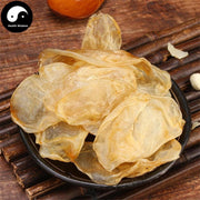 Hua Jiao 花胶, Yu Jiao, Fish Maw, Air Bladder, 魚肚, 魚鰾-Health Wisdom™