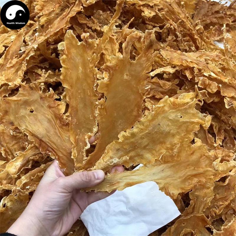 Hua Jiao 花胶, Yu Jiao, Seafood Fish Maw, Air Bladder, 鳕魚肚, 鳕鱼鰾-Health Wisdom™
